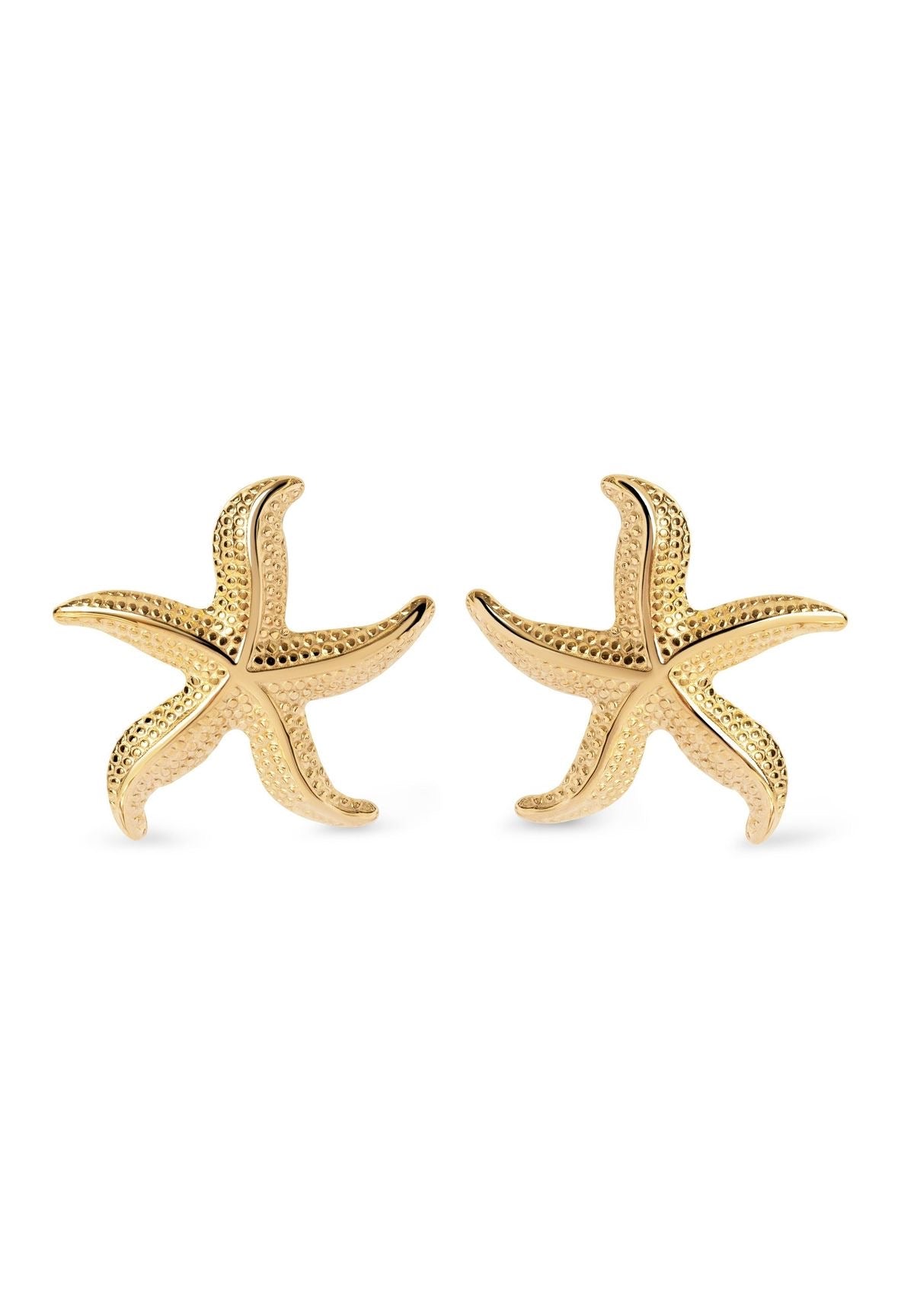 Star-fish
