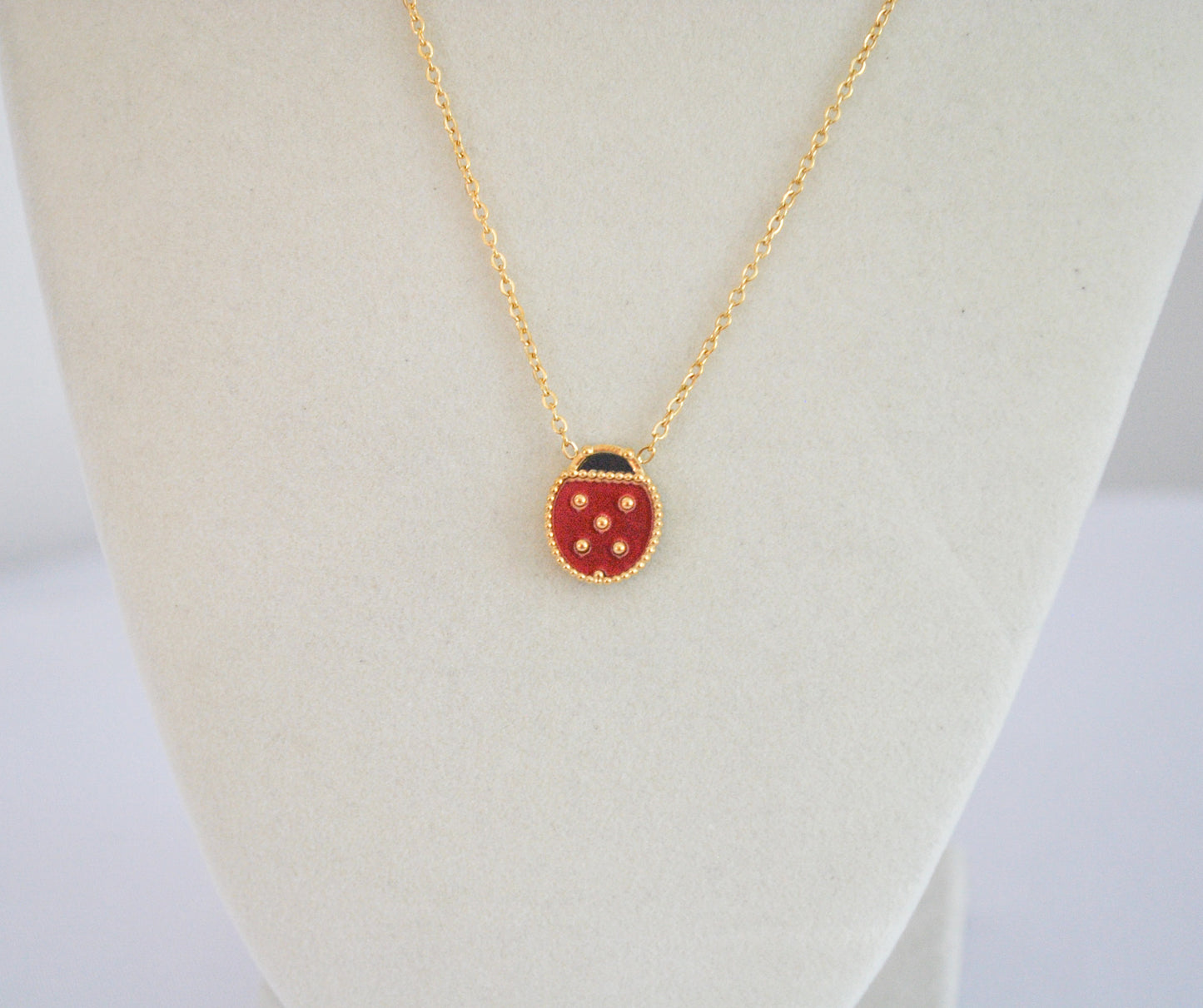Ladybug