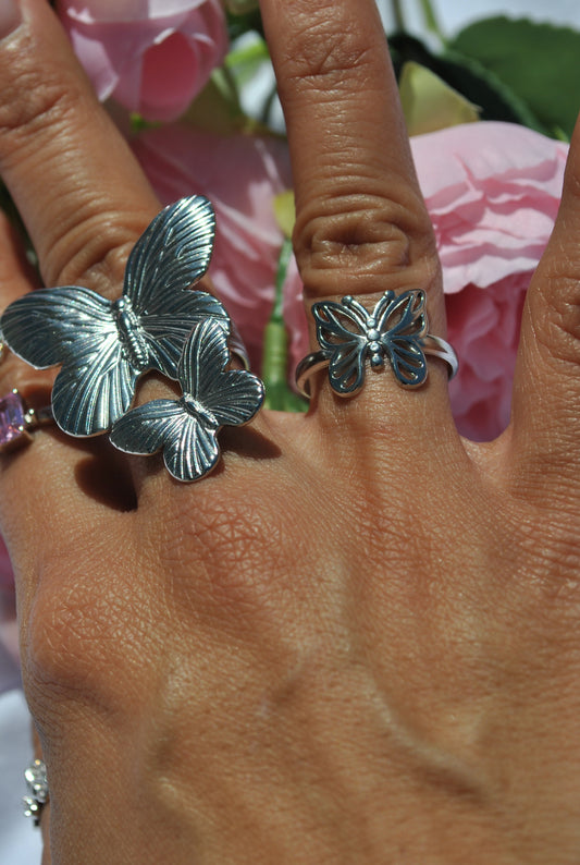 Butterfly duo