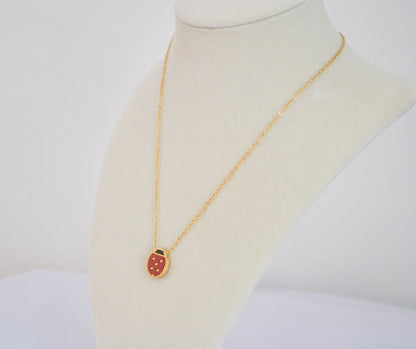 Ladybug