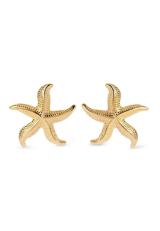 Star-fish